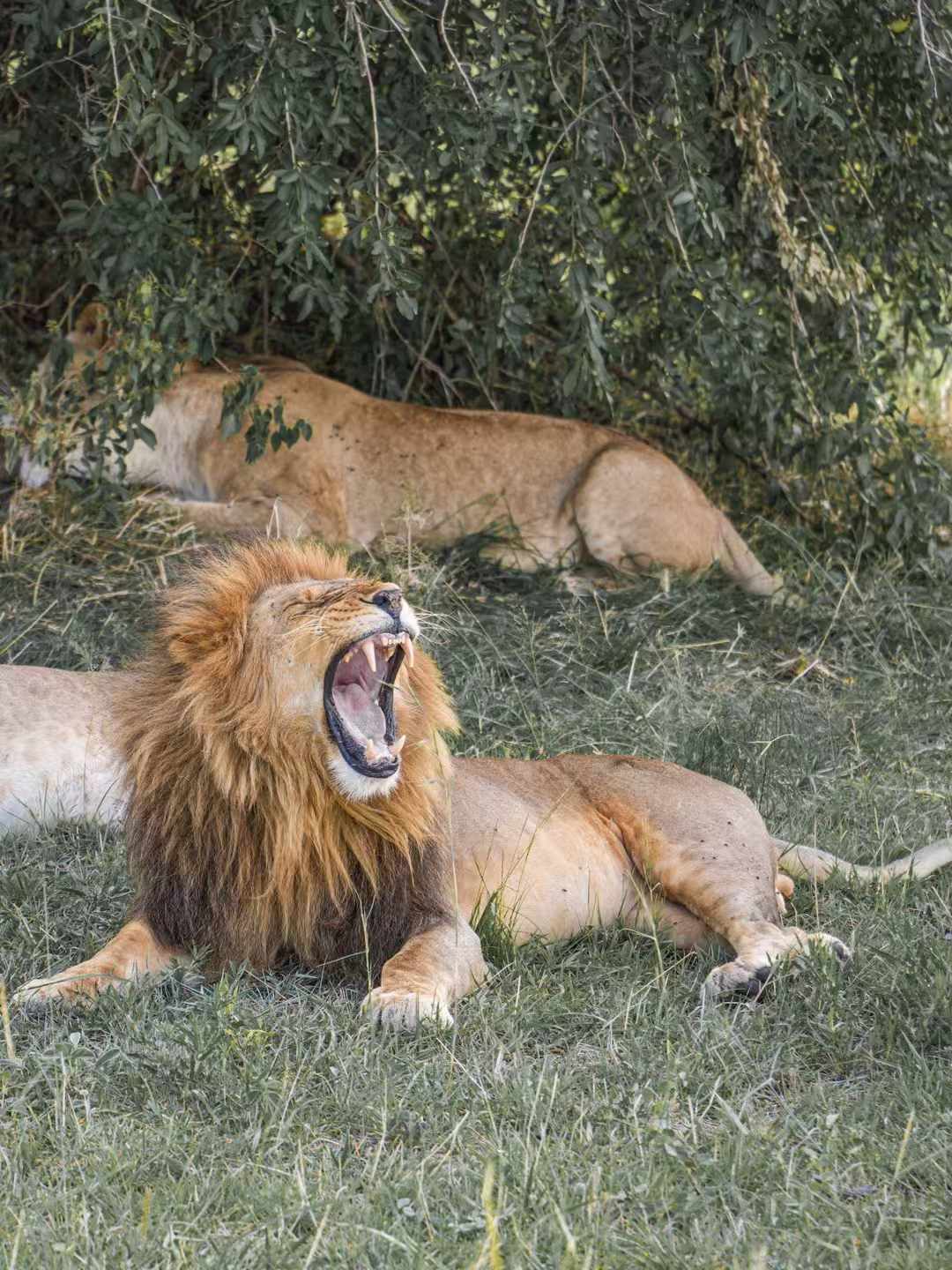 mmexport1749385165663